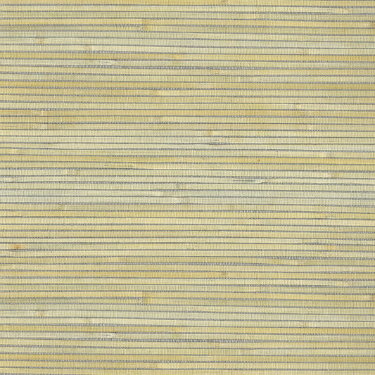 Natural Wallcoverings III VE303519 Grasscloth