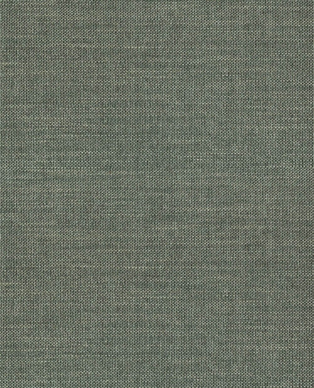 Natural Wallcoverings III VE303520 Grasscloth