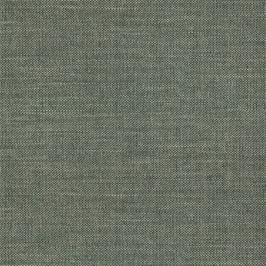 Natural Wallcoverings III VE303520 Grasscloth