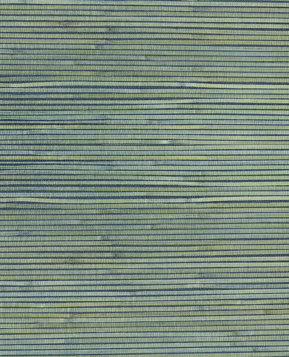 Natural Wallcoverings III VE303521 Grasscloth