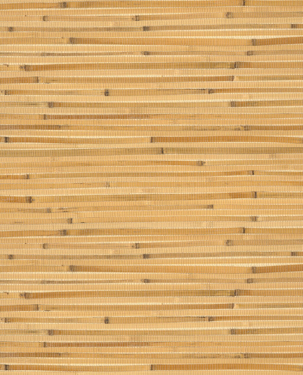 Natural Wallcoverings III VE303534 Grasscloth