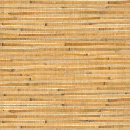 Natural Wallcoverings III VE303534 Grasscloth