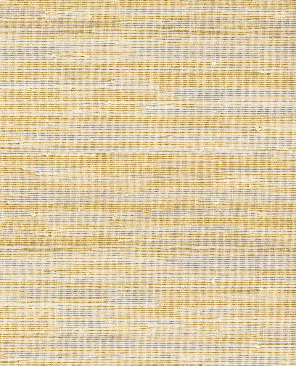 Natural Wallcoverings III VE303535 Grasscloth