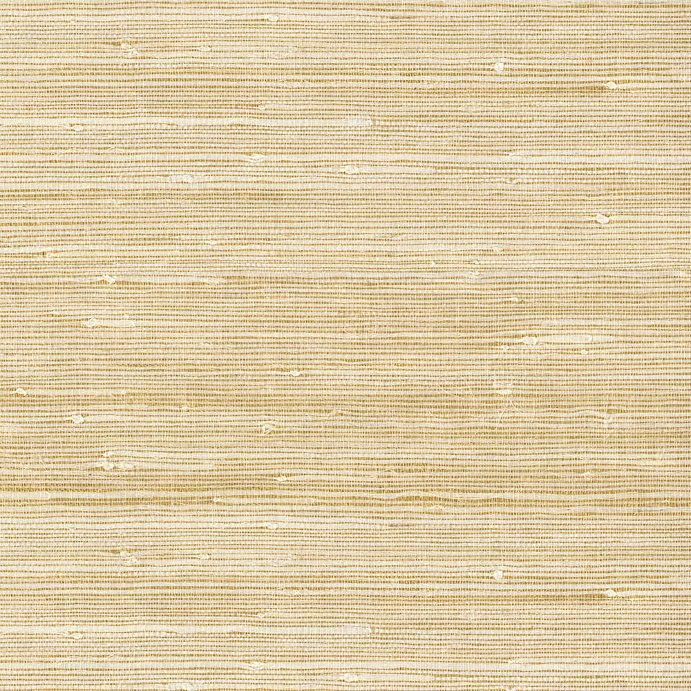 Natural Wallcoverings III VE303535 Grasscloth