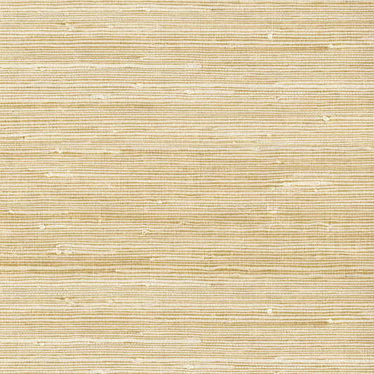 Natural Wallcoverings III VE303535 Grasscloth