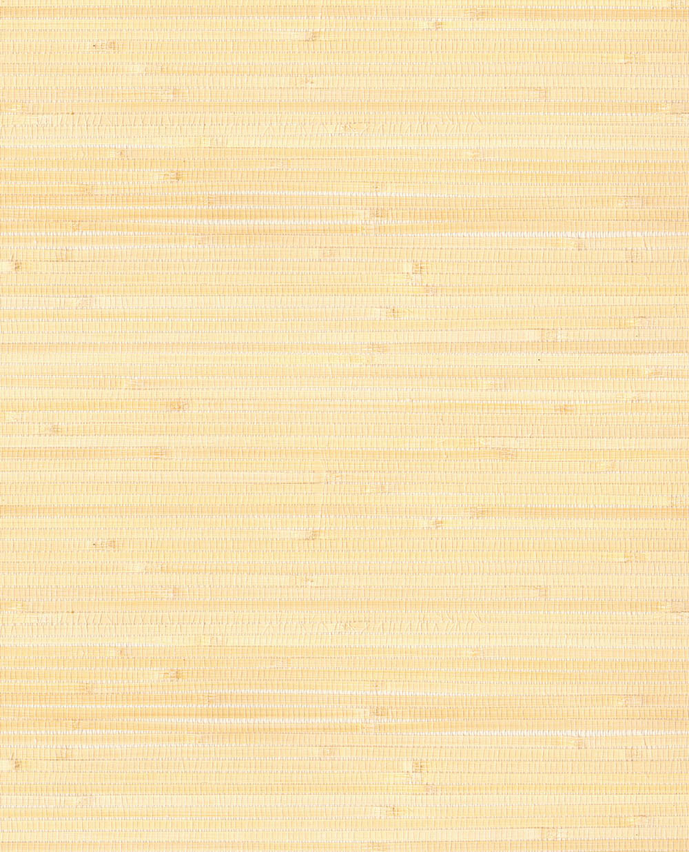 Natural Wallcoverings III VE303536 Grasscloth