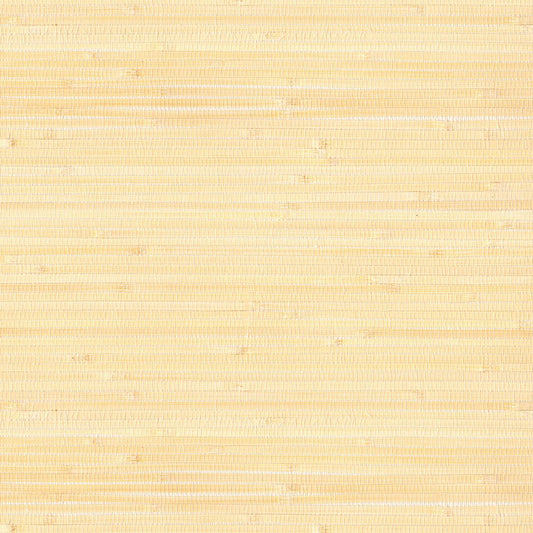 Natural Wallcoverings III VE303536 Grasscloth