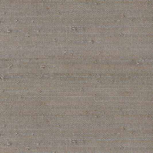 Natural Wallcoverings III VE303545 Grasscloth