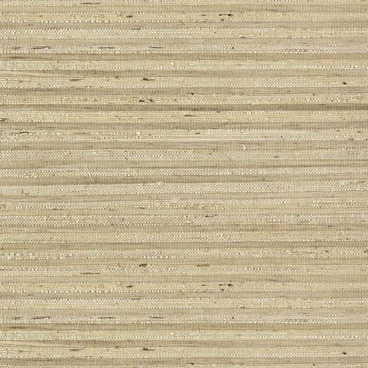 Natural Wallcoverings III VE303552 Grasscloth