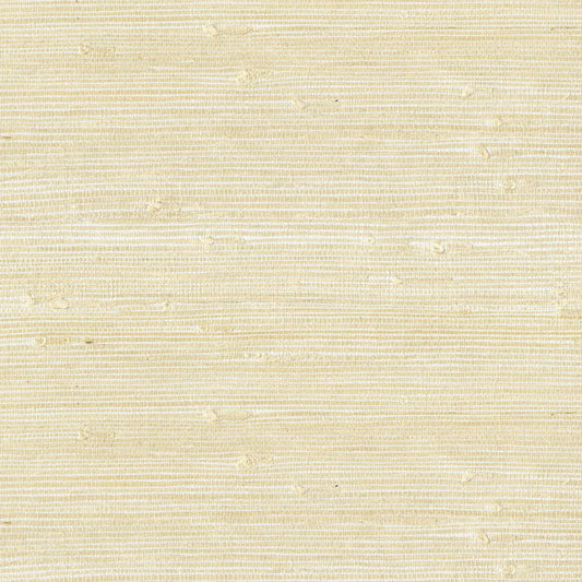 Natural Wallcoverings III VE303554 Grasscloth