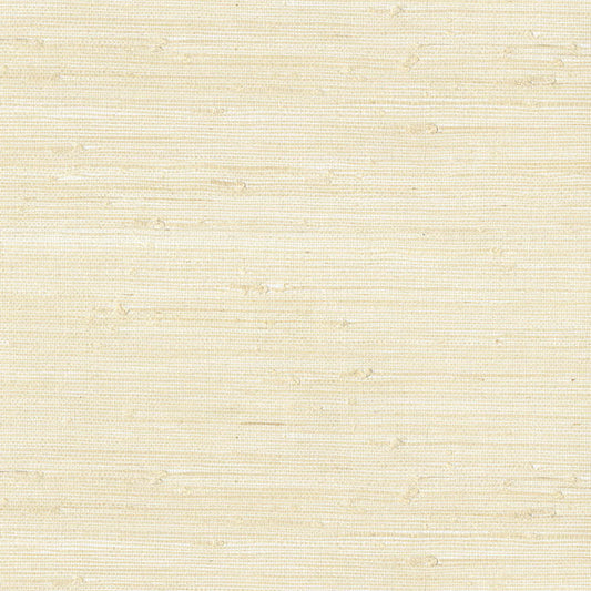 Natural Wallcoverings III VE303555 Grasscloth