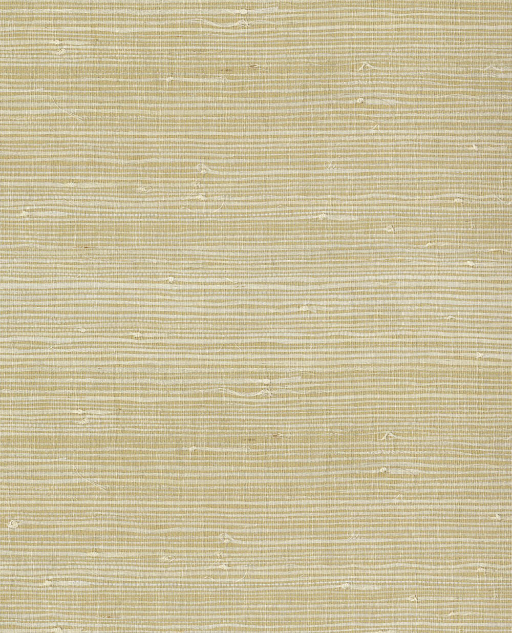 Natural Wallcoverings III VE303560 Grasscloth