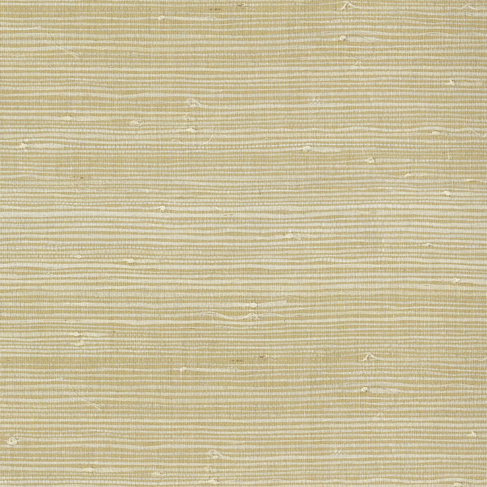 Natural Wallcoverings III VE303560 Grasscloth